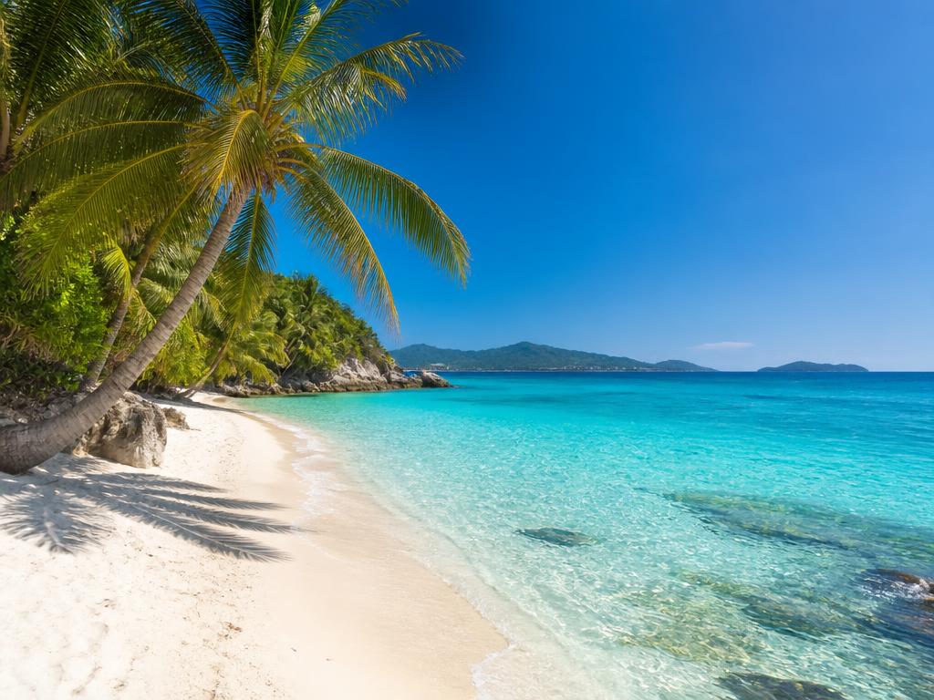 Türkisfarbener Strand mit Palmen – Referenz Tourismusbetrieb